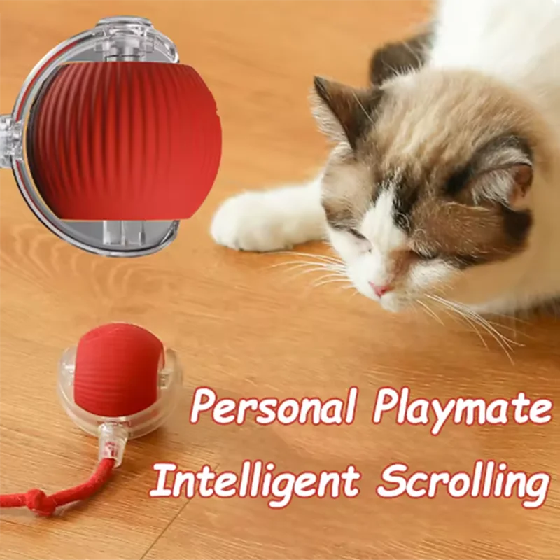 Hot cat toys are automatically teasing cat balls and self-exciting cat sticks and ticks and resistant to wear and bite pet toys
