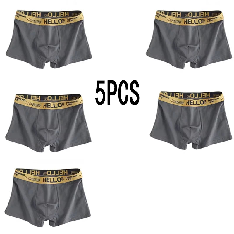 5-piece men's underwear, briefs, letters, breathable and comfortable set, multiple colors, L-4XL
