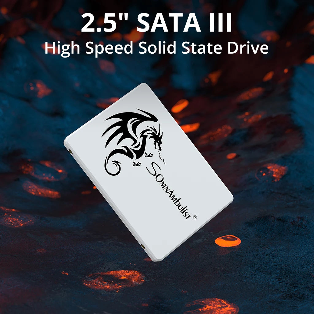 SomnAmbulist SSD 2.5 64GB 128GB 256GB 512GB for Laptop Desktop Solid State Drive Sata3 120GB 240GB 480GB