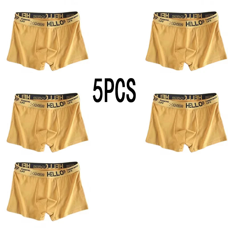5PCS Men Breathable  Boxer Shorts Four-corner Shorts Teenagers Knitted Pure Color Mid-waist Design